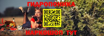 прущие грибы Ипатово