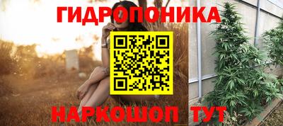 прущие грибы Ипатово