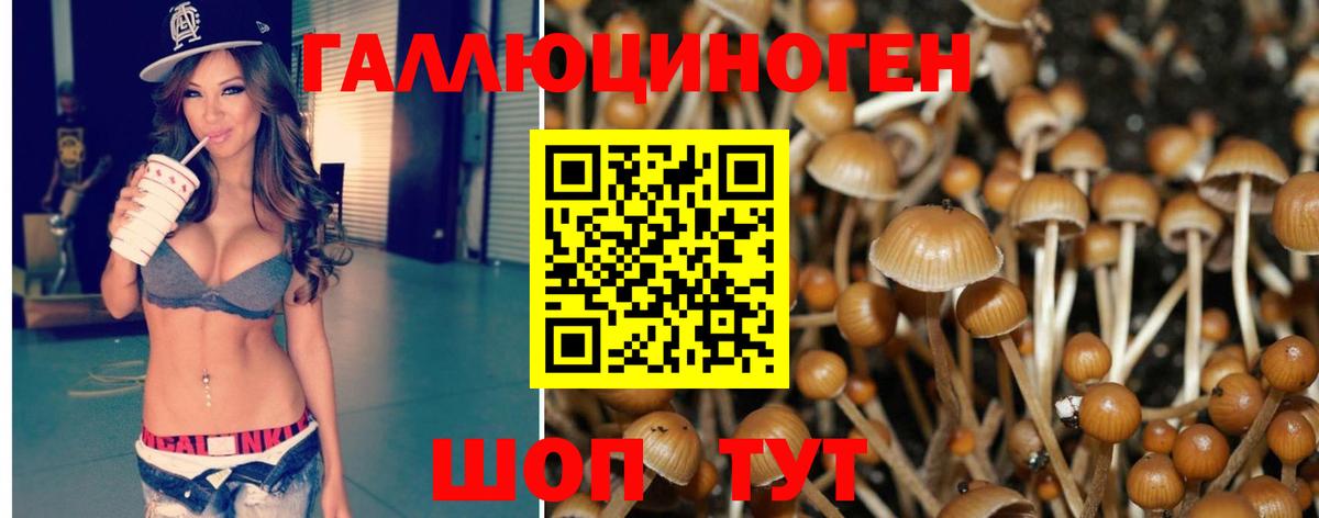 Псилоцибиновые грибы Cubensis Лосино-Петровский